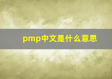 pmp中文是什么意思