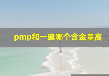 pmp和一建哪个含金量高