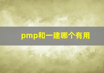 pmp和一建哪个有用