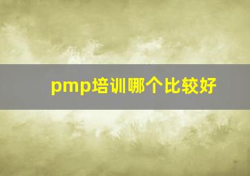 pmp培训哪个比较好