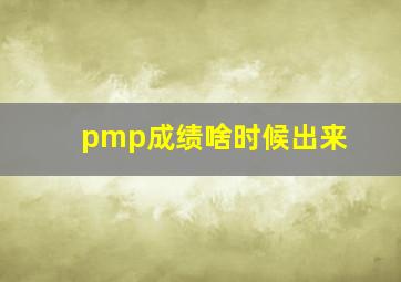 pmp成绩啥时候出来