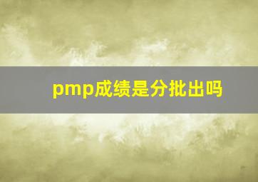 pmp成绩是分批出吗