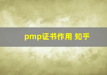 pmp证书作用 知乎