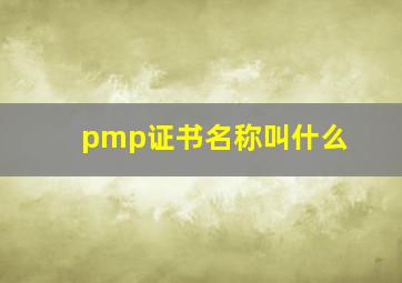 pmp证书名称叫什么