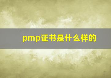 pmp证书是什么样的