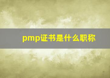 pmp证书是什么职称