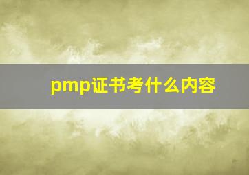 pmp证书考什么内容