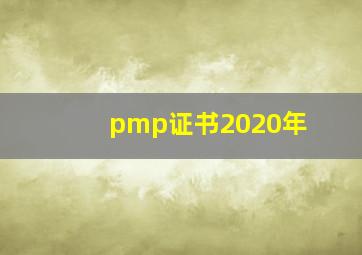 pmp证书2020年