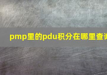 pmp里的pdu积分在哪里查询