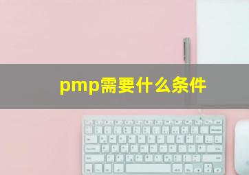 pmp需要什么条件