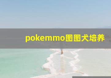 pokemmo图图犬培养