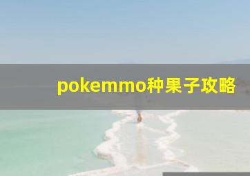 pokemmo种果子攻略