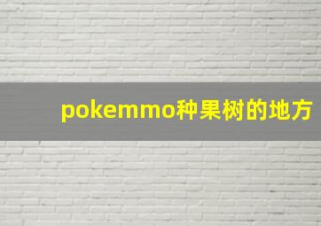 pokemmo种果树的地方