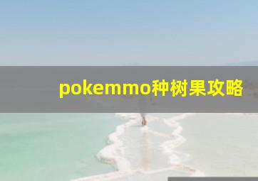 pokemmo种树果攻略