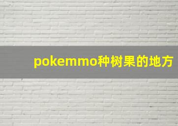 pokemmo种树果的地方