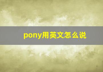 pony用英文怎么说