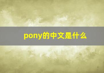 pony的中文是什么