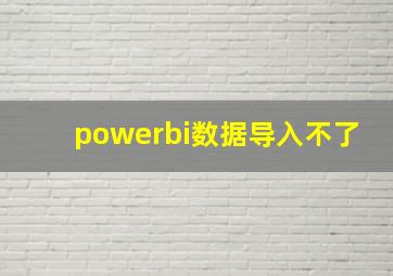 powerbi数据导入不了