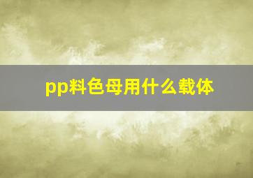 pp料色母用什么载体