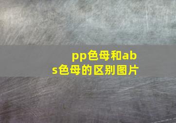 pp色母和abs色母的区别图片