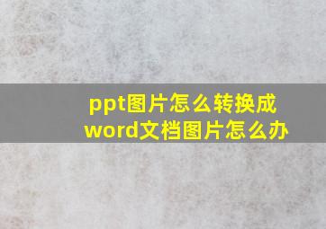 ppt图片怎么转换成word文档图片怎么办