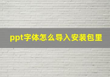 ppt字体怎么导入安装包里