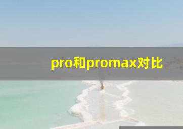 pro和promax对比