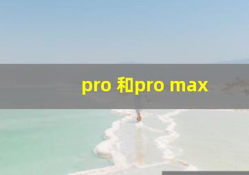 pro 和pro max