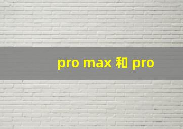 pro max 和 pro