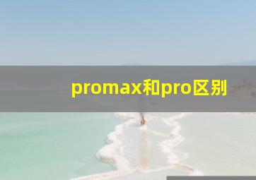 promax和pro区别