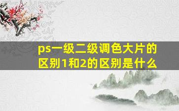 ps一级二级调色大片的区别1和2的区别是什么