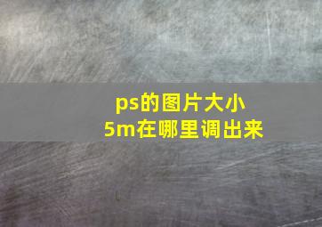 ps的图片大小5m在哪里调出来