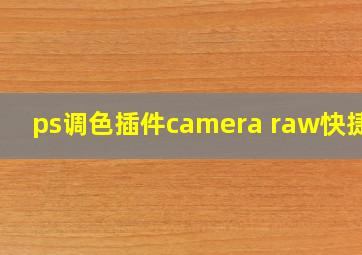 ps调色插件camera raw快捷键