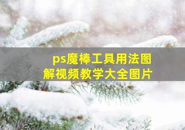 ps魔棒工具用法图解视频教学大全图片