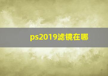 ps2019滤镜在哪