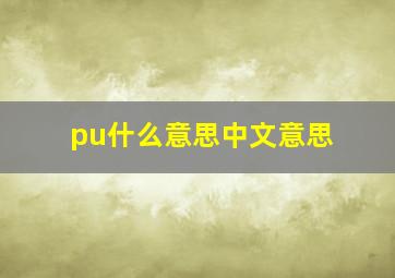 pu什么意思中文意思