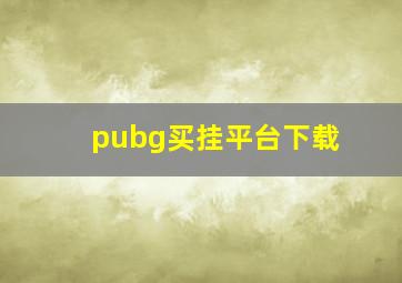 pubg买挂平台下载