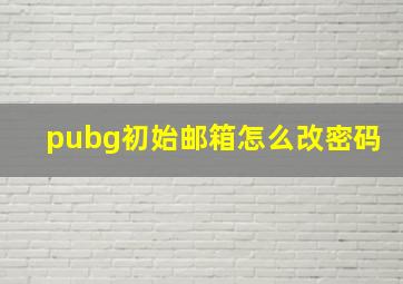 pubg初始邮箱怎么改密码