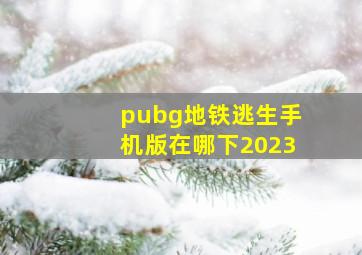 pubg地铁逃生手机版在哪下2023