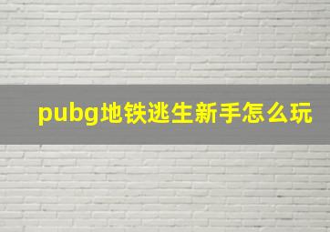 pubg地铁逃生新手怎么玩