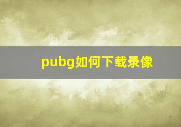 pubg如何下载录像