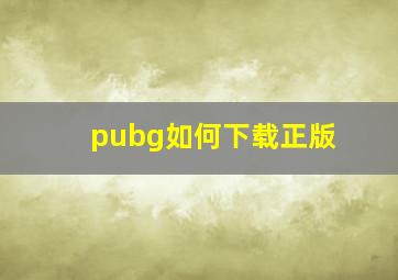 pubg如何下载正版