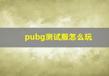 pubg测试服怎么玩