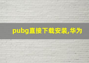 pubg直接下载安装,华为