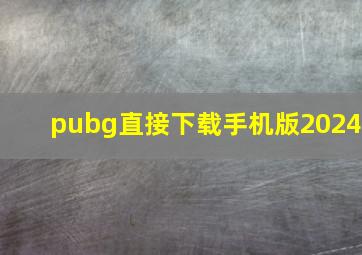 pubg直接下载手机版2024