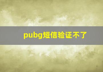 pubg短信验证不了