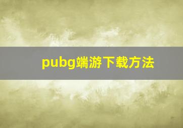 pubg端游下载方法