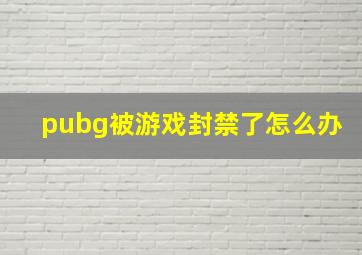 pubg被游戏封禁了怎么办