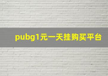 pubg1元一天挂购买平台