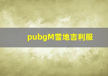 pubgM雪地吉利服